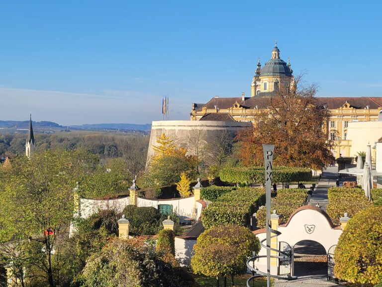 20231112_092417-scaled-4-1-2-1-1-2-1-1.jpg