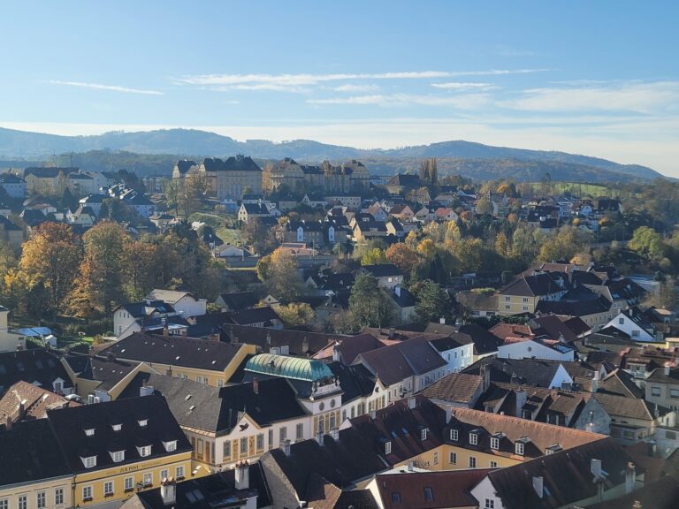 20231112_101859-scaled-1-1-2-1-1-2-1-1.jpg